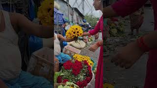 Flowers of joy city of love  Mallick Ghat Kolkatas biggest flower market✅ 💯 [upl. by Aivatnahs950]