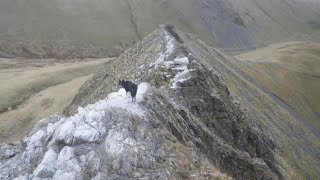 Sharp Edge Blencathra November 21st 2024 [upl. by Findley74]