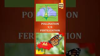 Pollination vs Fertilization Class 10 Reproduction in Plants shorts [upl. by Yenittirb990]