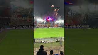 FC Basel  GCZ 14122024 choreography [upl. by Ferren]