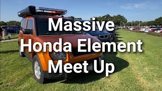 Massive Honda Element Meet Up [upl. by Pepi]