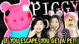 LAST TO SURVIVE PIGGY BOOK 2 WINS ROBUX Roblox Gaming w Maya Clara Gaming [upl. by Lynett676]