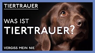 Wenn ein Tier stirbt  Umgang und Unterstützung bei Tiertrauer [upl. by Pena]