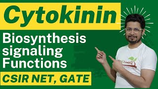 Cytokinin hormone biosynthesis and cytokinin function [upl. by Iphigeniah]