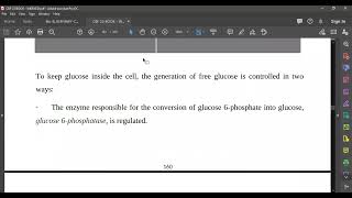 L51 Gluconeogenesis R [upl. by Oiram61]