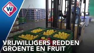 Groente en Fruitbrigade redt 3 miljoen kilo groente en fruit [upl. by Mauer576]