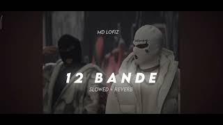 12 BANDE SONG  SLOWED  REVERB  💪👑 [upl. by Euqinehs1]