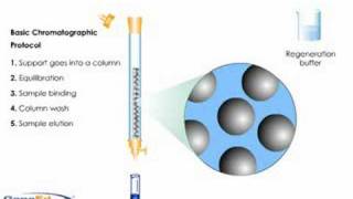 Column Chromatography [upl. by Anelagna]