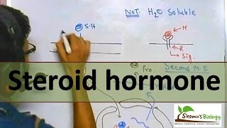 Steroid hormone mechanism of entry [upl. by Utley]