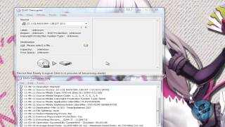 How To Rip and Burn Playstation 2 DVD Games with DVD Decrypter Tutorial [upl. by Ellenhoj]