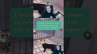 Mottos To Live By LittleKittyBigCity  webfoo on Twitch [upl. by Cleve]