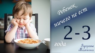 Почему ребенок ничего не ест в 2 или 3 года [upl. by Manville36]