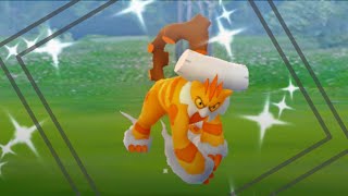 Landorus Raid Hour  Shiny Hunt  Pokemon Go Live [upl. by Lennard]