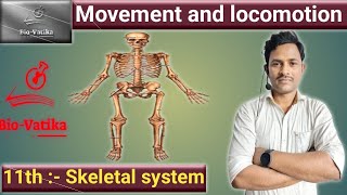 Bio vatika  class  11th II Movement and Locomotion  Skeletal System II [upl. by Aym617]