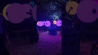 Pitlochry Enchanted Forest Full tour cut to 10 minutes [upl. by Vidovic]