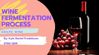 Fredeluces 1209  Wine Fermentation Process  Grape Wine  VLOG 2 [upl. by Terrag]