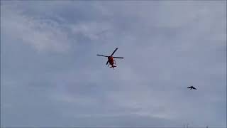 New color C186 Pro RC Helicopter test [upl. by Bartley]