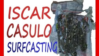 ISCAR CASULO UM EXCELENTE ISCO PARA SURFCASTING PESCA DE PRAIA [upl. by Veljkov754]