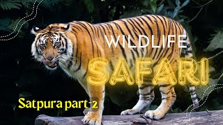 quotExploring the Untamed Wilderness of Satpura National Park  A Thrilling Wildlife Adventurequot Part2 [upl. by Aynnat]