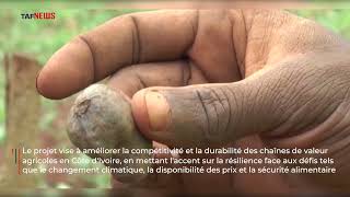 La Côte dIvoire  les chaines de valeur agricoles résilientes [upl. by Alimaj]