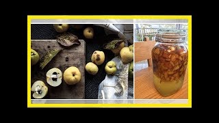 QuittenRezepte Likör und Saft selber machen [upl. by Shippee54]