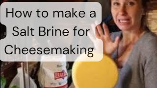 How To Make and Use a Salt Brine for Cheesemaking [upl. by Acirem]