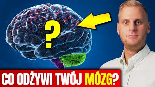 🧠 Dieta dla MÓZGU  tym wyostrzysz pracę UMYSŁU 🧠 [upl. by Yard]