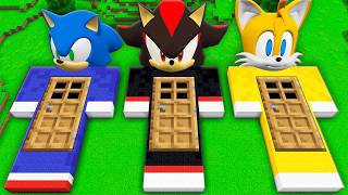 Whats INSIDE the SONIC TILES vs SHADOW SONIC in Minecraft I found the SECRET DOOR inside the SONIC [upl. by Esylle]