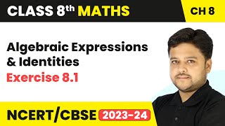 Algebraic Expressions and Identities  Exercise 81  Class 8 Maths Chapter 8 [upl. by Akoek]