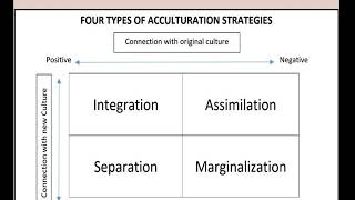 ACCULTURATIVE STRATEGIES [upl. by Nwahsit]