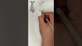 Karakalem portrede burun çizimi drawing karakalem çizim [upl. by Penman]