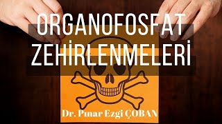 Organofosfat Zehirlenmeleri Pınar Ezgi Çoban [upl. by Arman]