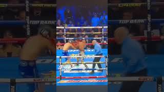 Oscar Valdez with an absolutely ferocious barrage vs Liam Wilson boxing boxeo [upl. by Gilud]