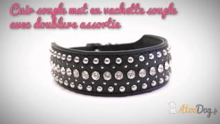 Collier cuir à strass pour chien Firebird amp Gothique  Atoodog [upl. by Bobette]