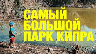 САМЫЙ БОЛЬШОЙ ПАРК КИПРА Athalassa National Forest Park  Влог Выходного Дня [upl. by Aienahs]