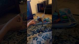 When you teach your cat how to shake 🤚 sphynx trending cat love viralvideo [upl. by Lihcox85]