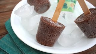 Easy 3 Ingredient Fudgsicles Recipe  How to Make Homemade Fudge Bars [upl. by Orips686]