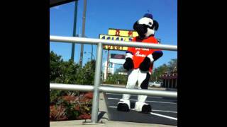 Dancing Mascot ChickFilA Cow to Party All The Time [upl. by Htide736]