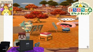 Jugando un poco de Animal Crossing Pocket Camp Día 10 2  SteveKingBob95552015 [upl. by Ennoirb526]