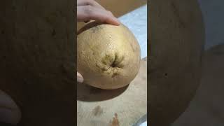 asmrcutting picking peeling pomelo tropicalfruit satisfying viralvideo viralshorts shorts [upl. by Rossing]