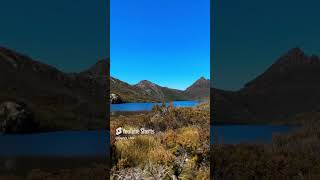 Cradle Mountain naturelovers nature scenicviews shortshorts shortvideo shorts [upl. by Nov672]