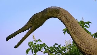 Dinosaurs The Facts and Fiction  How to Build a Dinosaur  BBC Earth [upl. by Eilujna]