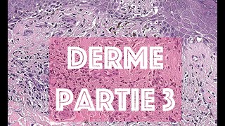 LE DERME partie 3  HISTOLOGIE [upl. by Stutman653]