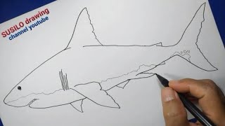 Cara Cepat Menggambar IKAN HIU MEGALODON Untuk Pemula  How to draw Megalodon for beginners [upl. by Odracir460]