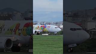 제주에서 김포로 가는 티웨이 피카츄제트 제주공항 이륙 tway B737 Takeoff at CJU planespotting shorts [upl. by Heddie982]