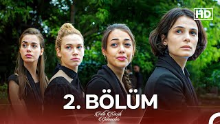 Tatlı Küçük Yalancılar 2 Bölüm FULL HD [upl. by Demy]