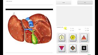 Biophilia Tracker X4 Max how to save advance reports [upl. by Derna]