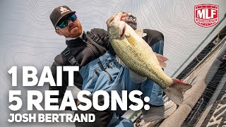 1 BAIT5 REASONS Why a plopperstyle bait is Bertrand’s top choice for summer topwater [upl. by Craggy]