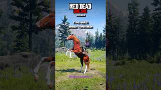 RDO horses showcase p15🤠🐴 Shorts [upl. by Alburga834]