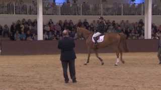 Showjumping  Laura Renwick MasterclassYoung Horses [upl. by Richter]